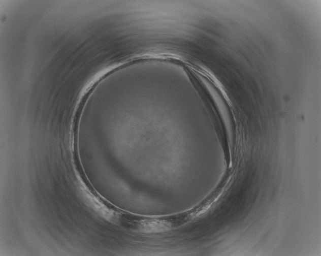 X0000085260795200703091322