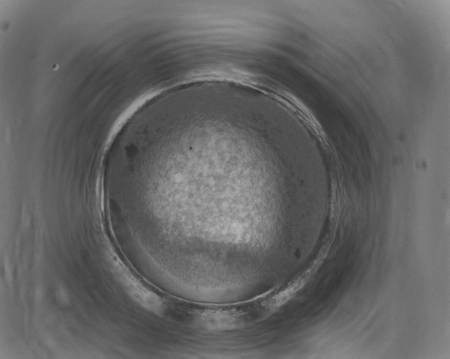 X0000085260796200703091322