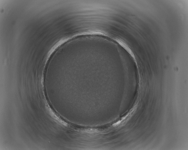 X0000085260797200703091322