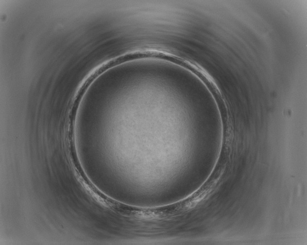 X0000085260799200703091322