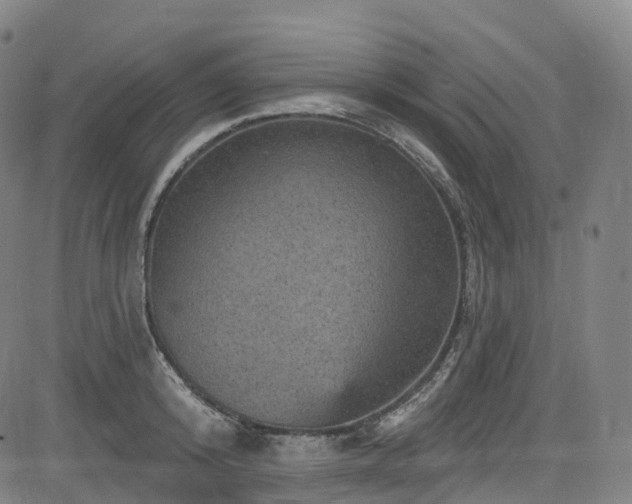 X0000085260800200703091322