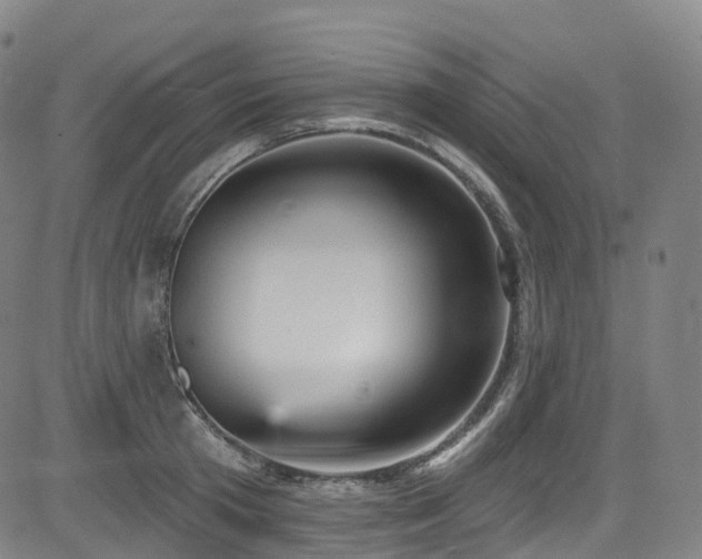 X0000085260801200703091322