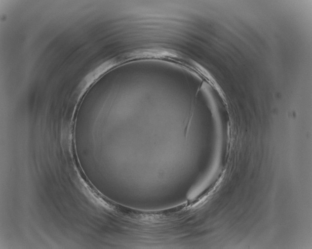 X0000085260802200703091322