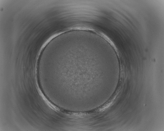 X0000085260803200703091322