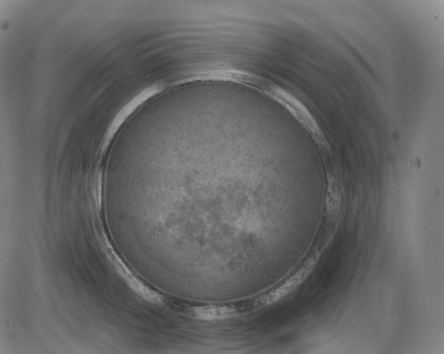 X0000085260804200703091322