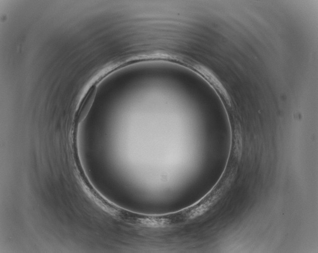 X0000085260805200703091322