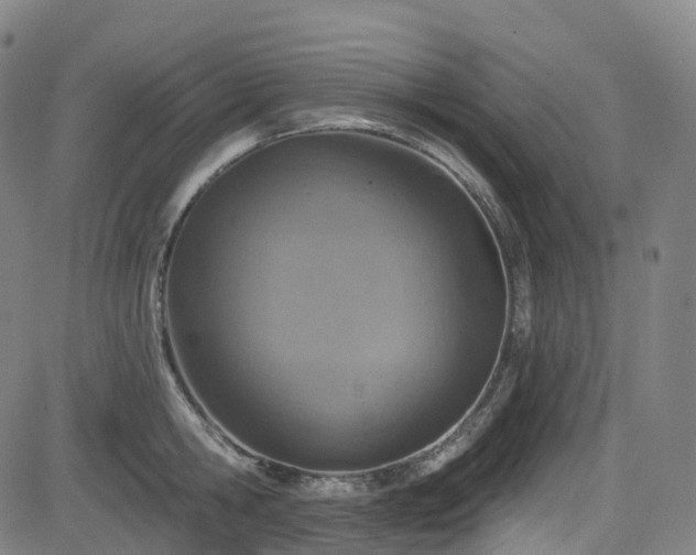 X0000085260806200703091322