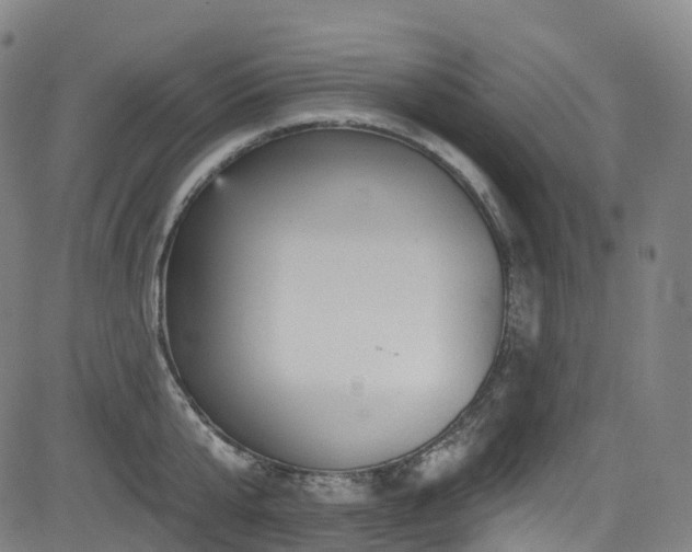 X0000085260807200703091322