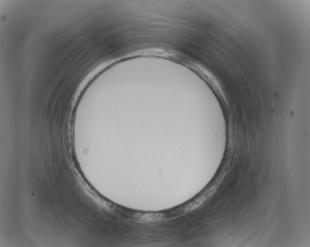 X0000085260808200703091322