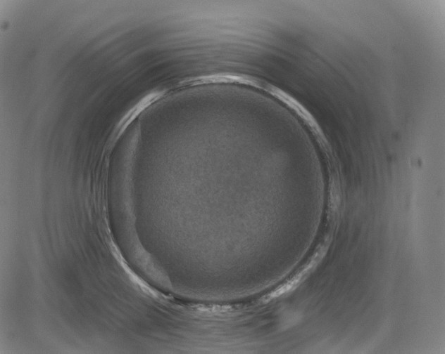 X0000085260809200703091322