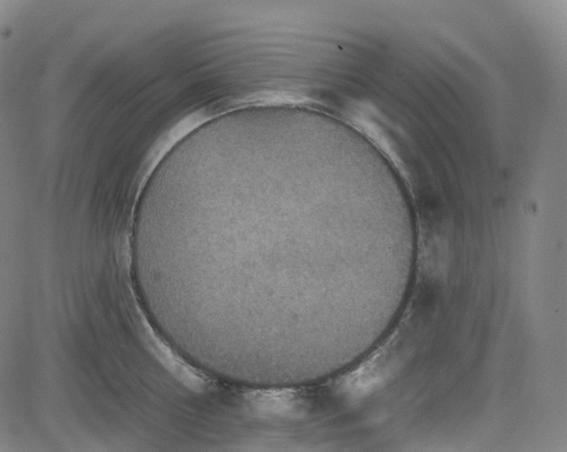 X0000085260810200703091322