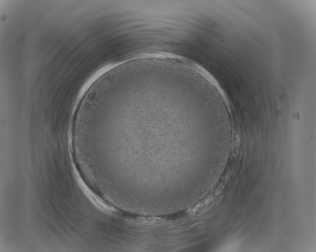 X0000085260811200703091322