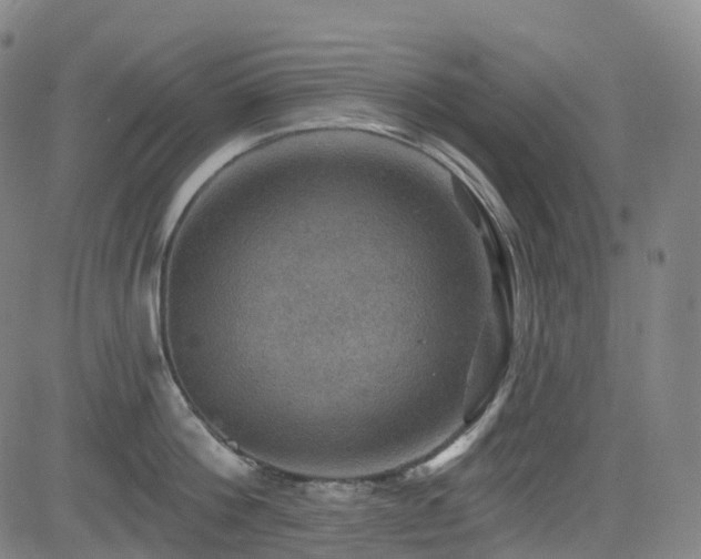 X0000085260812200703091322