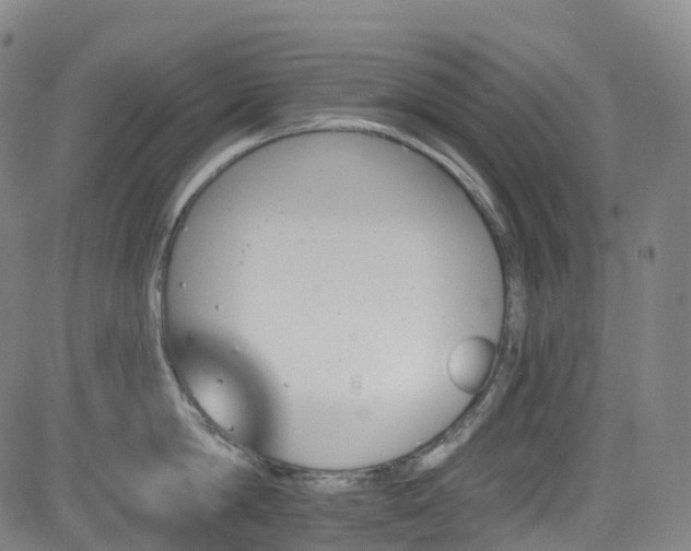 X0000085260814200703091322