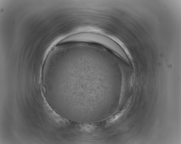 X0000085260815200703091322