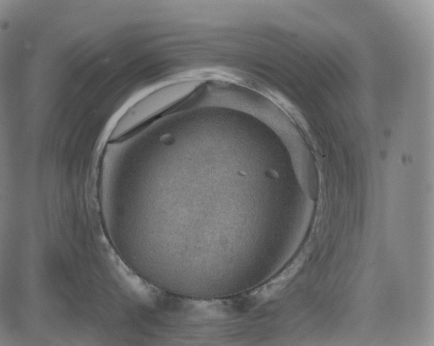 X0000085260816200703091322