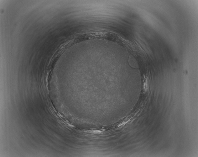 X0000085260819200703091321