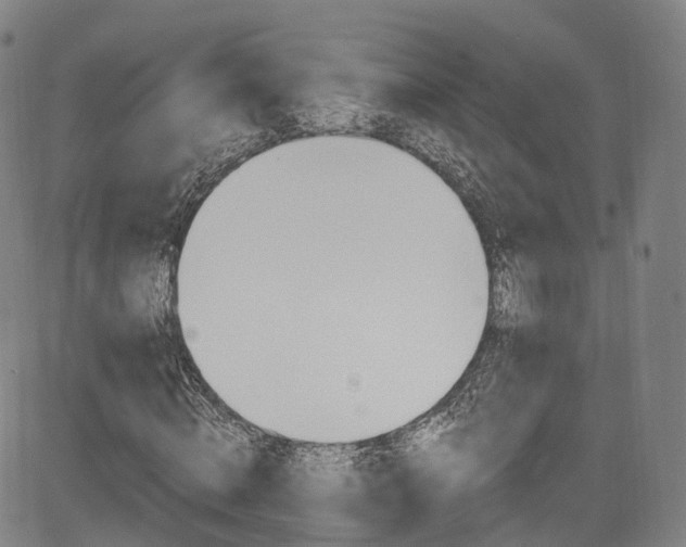 X0000085260820200703091321