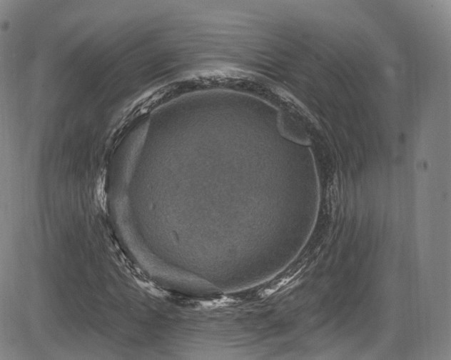 X0000085260822200703091321