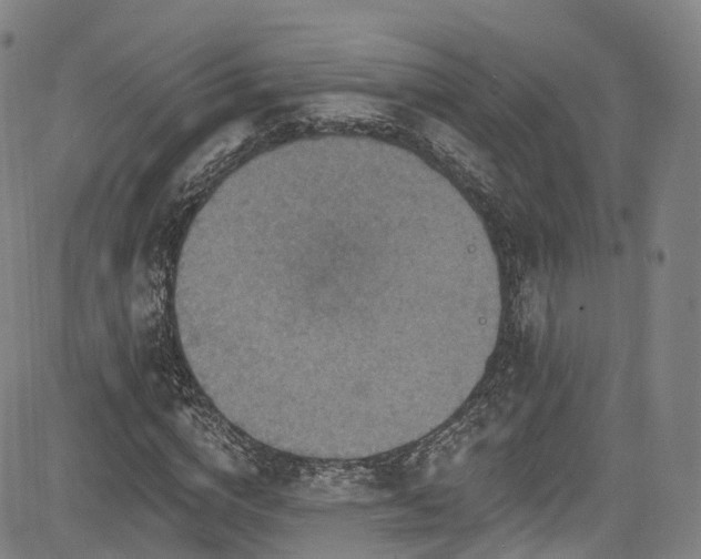 X0000085260824200703091321