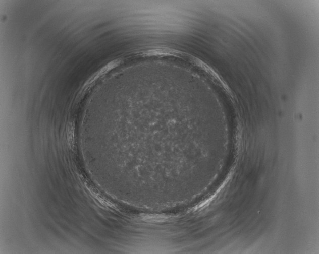 X0000085260825200703091321