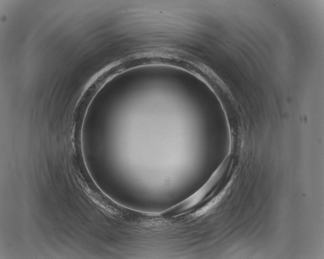 X0000085260830200703091321