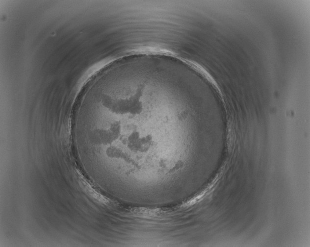 X0000085260831200703091321