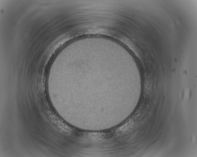 X0000085260832200703091321