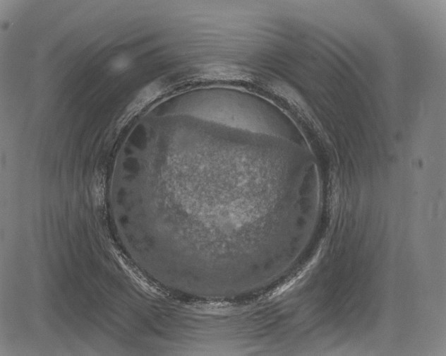 X0000085260833200703091321