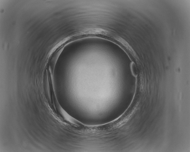 X0000085260834200703091321