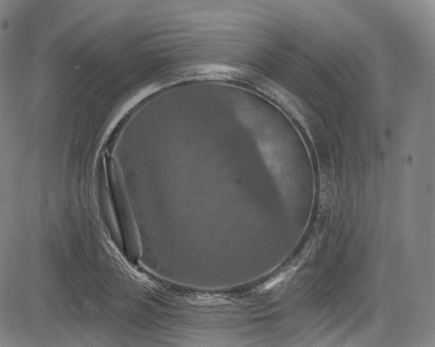 X0000085260835200703091321