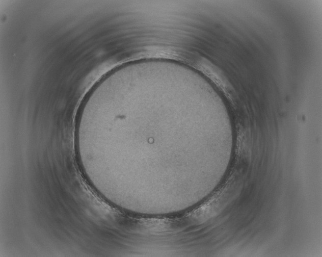 X0000085260836200703091321