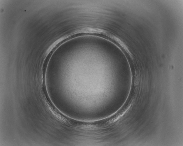 X0000085260837200703091321