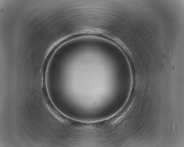 X0000085260838200703091321