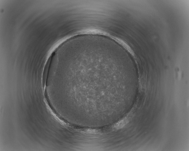 X0000085260839200703091321