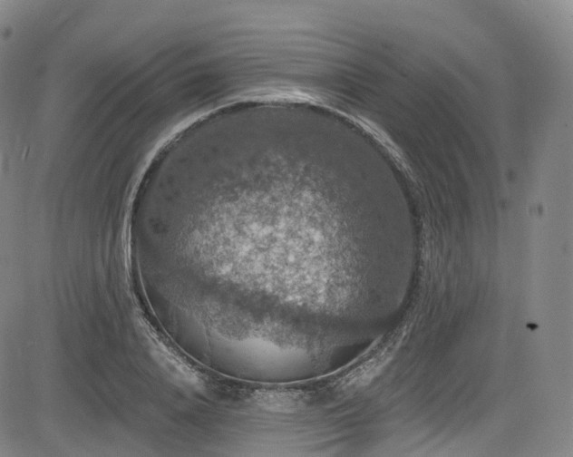 X0000085260840200703091321