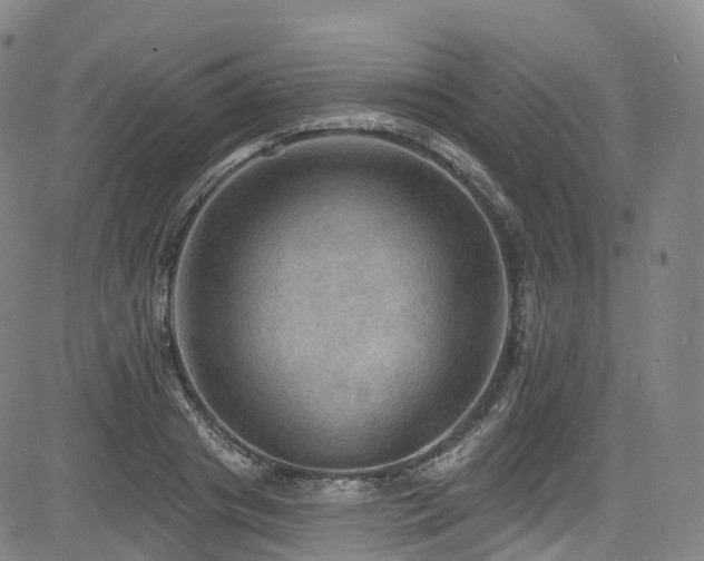 X0000085260841200703091321