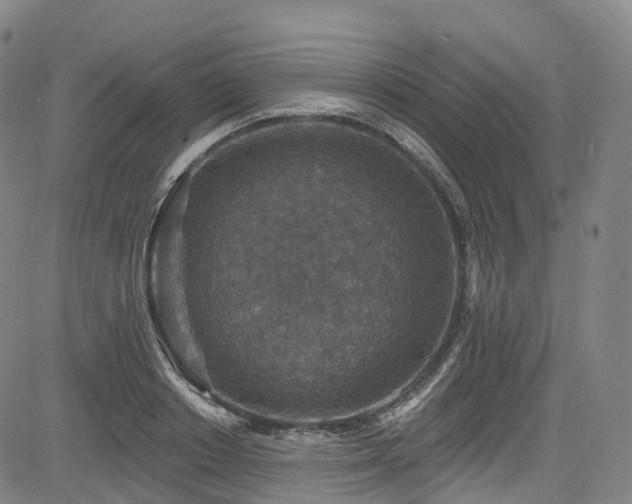 X0000085260842200703091321