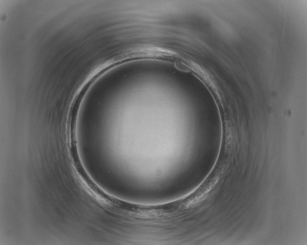 X0000085260843200703091321