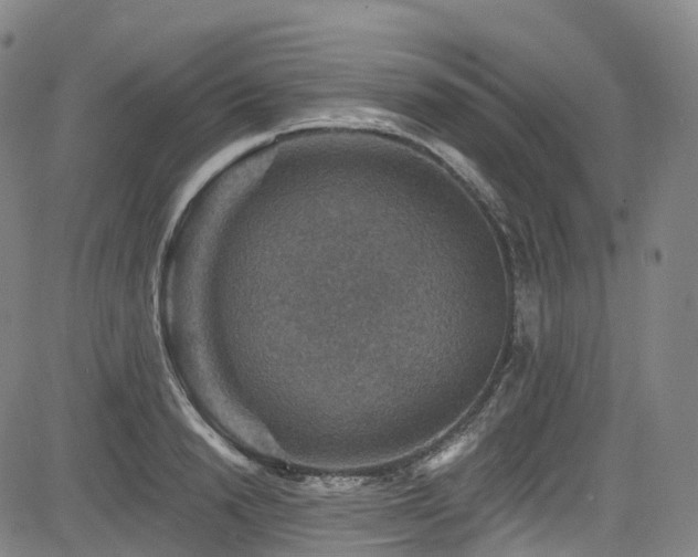 X0000085260846200703091322