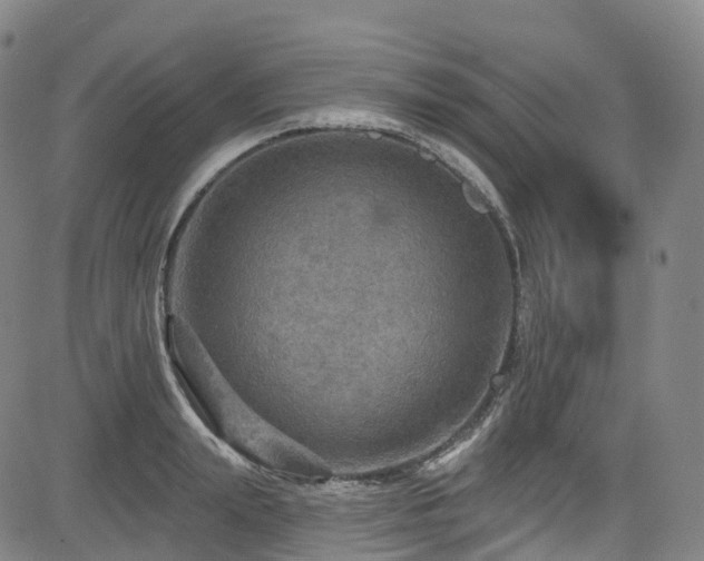 X0000085260847200703091322