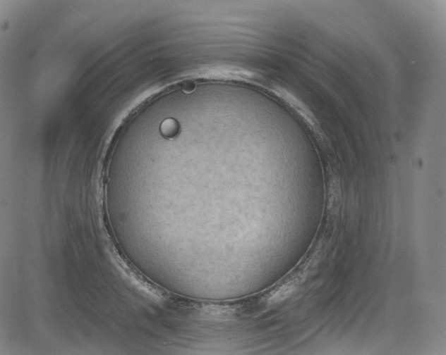 X0000085260848200703091322