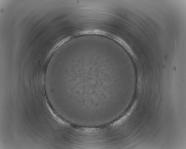 X0000085260849200703091322