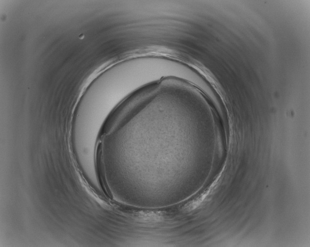 X0000085260850200703091322