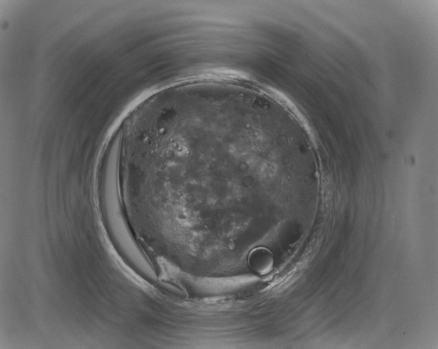 X0000085260851200703091322