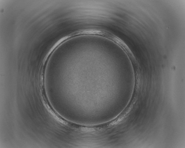 X0000085260852200703091322