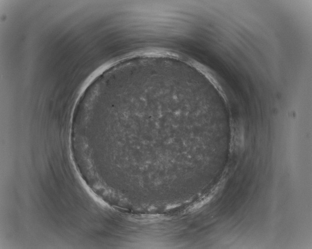 X0000085260853200703091322