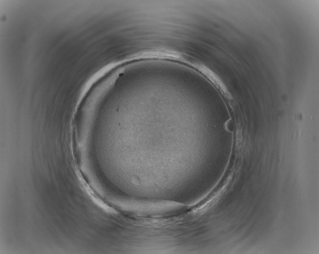 X0000085260854200703091322