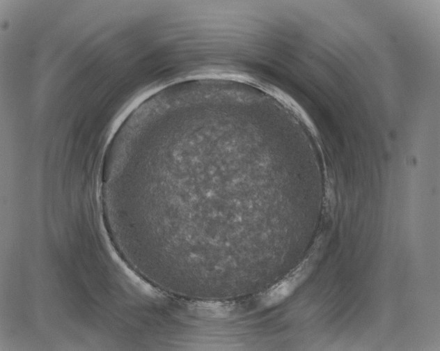 X0000085260855200703091322