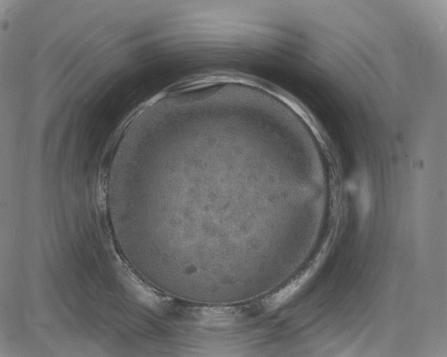 X0000085260857200703091322